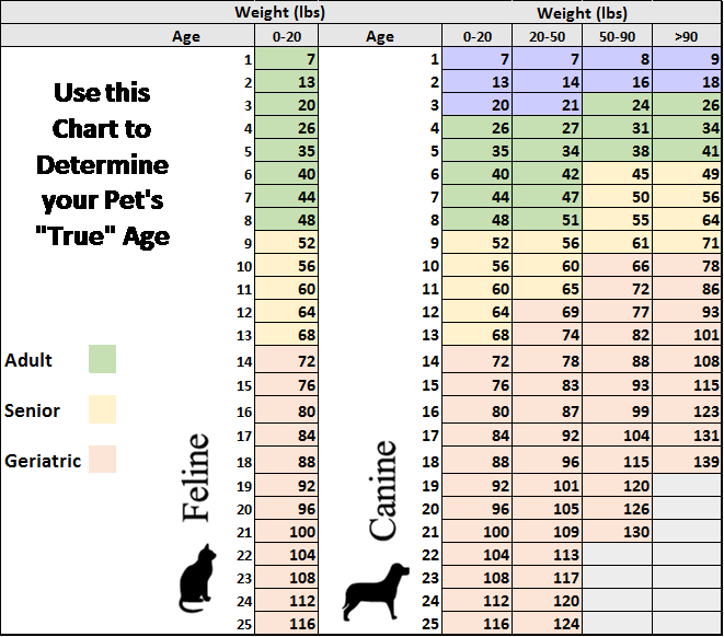 Age Chart