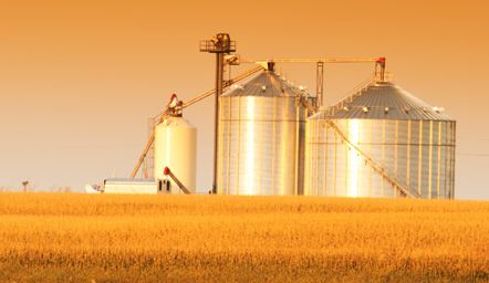 Farm and Field