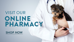 Visit our Online Pharmacy