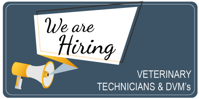 We are hiring